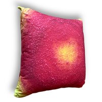 Yellow & Red Abstract Pillows
