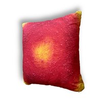 Yellow & Red Abstract Pillows