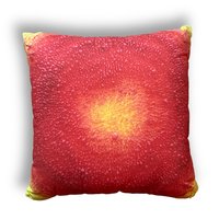 Yellow & Red Abstract Pillows