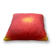 Yellow & Red Abstract Pillows