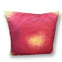 Yellow & Red Abstract Pillows