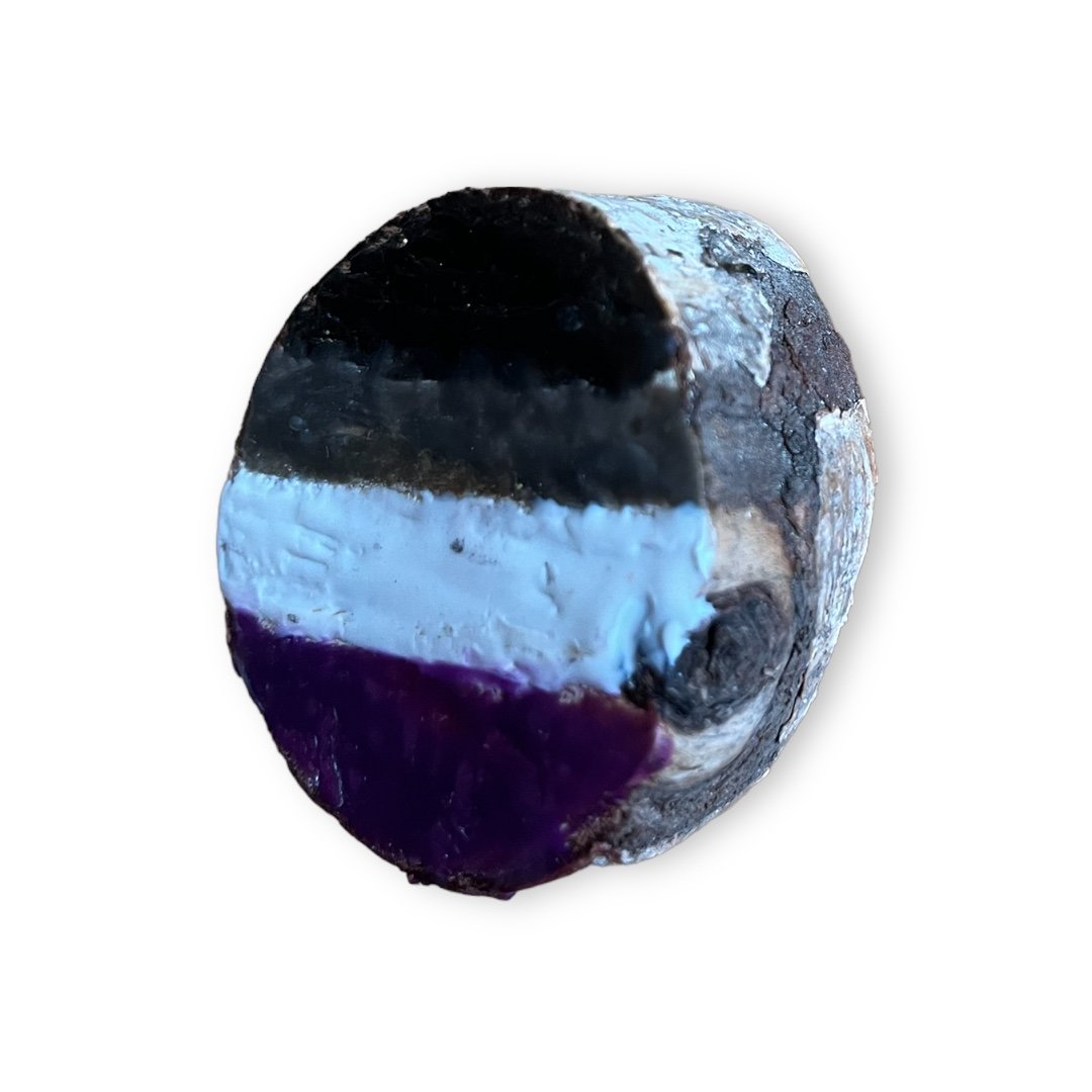 Asexual Pride Magnet