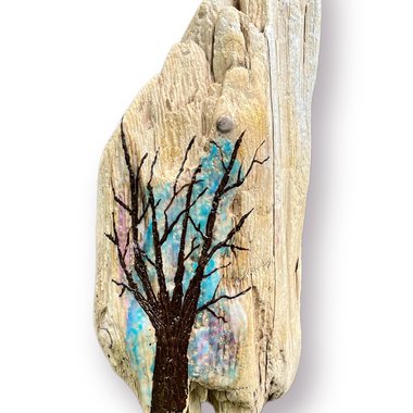 Mississippi Driftwood