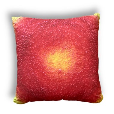 Yellow & Red Abstract Pillows