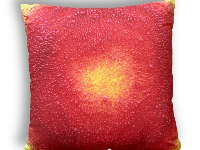 Yellow & Red Abstract Pillows